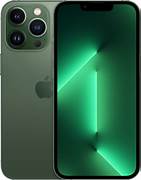 13PROGREEN